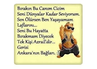 Dostluk dönemseldir ve kara(gün) dost(u)