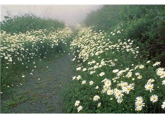 Seni ellerinden tanırlar