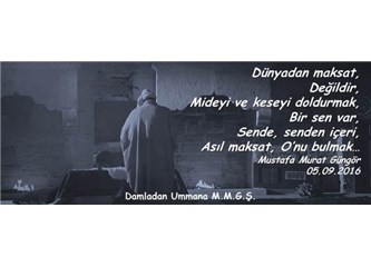Bir sen var