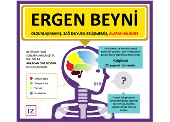 Oysa çocuğunuzun beyni inşaat sahası gibi