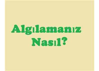 Algılamanız nasıl?
