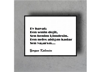 Ömür demişler yaşama