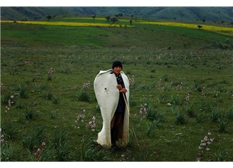 Özhan'la Hayat bi kare Ulusal Fotoğraf Yarışması
