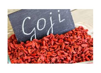 GOJİ BERRY NEDEN MUCİZE MEYVE ?