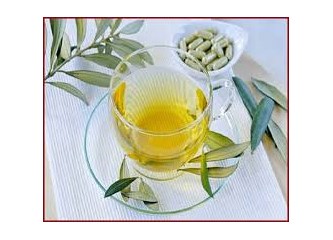Hastalıklara derman zeytin yaprağı çayı