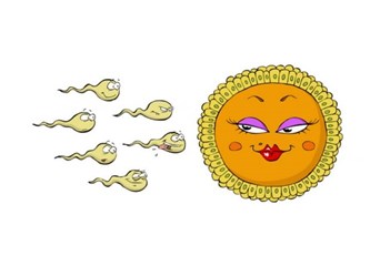 Sperm ile ilgili ilginç bilgiler…