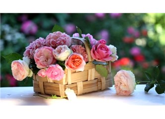 En iyi versiyonunuza ne dersiniz?