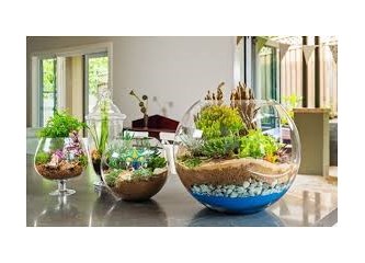 Bizi hayallere daldıran ‘terrarium-minyatür bahçeler’