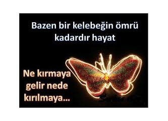 Allah rızka kefildir