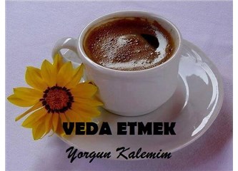 Veda etmek