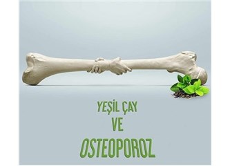 Yeşil çay ve Osteoporoz