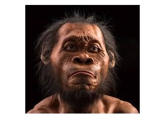 Homo Naledi atamız mı, akrabamız mı?