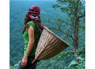 Karadeniz bölgesi neden Türkiye’nin en az gelişmiş bölgesidir?