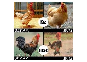 balıkesir tügva yurdu