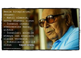 Yaşar Kemal'in Simgesi: İNCE MEMED