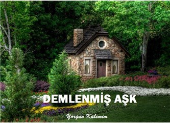 Demlenmiş Aşk