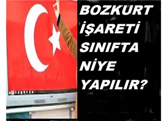 Bozkurt İşareti Sınıfta Niye Yapılır?