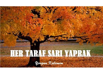 Her Taraf Sarı Yaprak