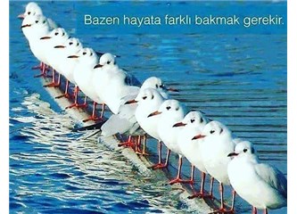 Öğrenilmiş Çaresizlik
