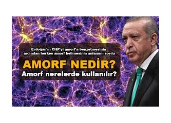 Cumhurbaşkanı Erdoğan, CHP'ye Neden "Amorf" Dedi?