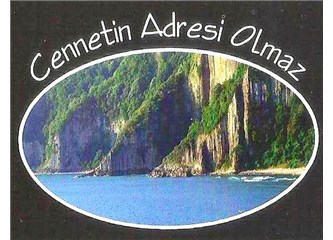 Biz Bu  "Turizm"  İşini, Beceremiyeceğiz Anlaşılan !