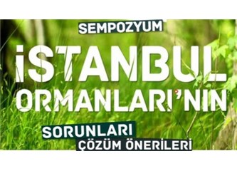 İstanbul’un %44’ü Orman ise Kimse Dışarıdan Gelenler İçin Allah’ın Dağından Gelmiş Diyemez