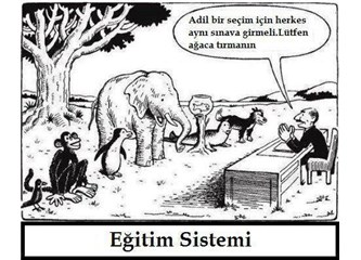 Türkiye'de Kadavraya Dönüşen Eğitim Sistemi