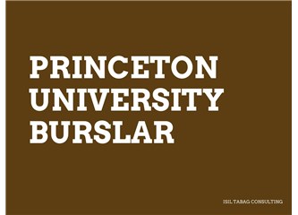 Princeton University Lisans Bursları