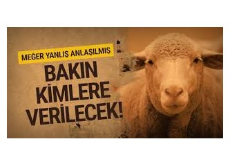 Hani Biz Türklere Keçi Çobanı Diyorlar ya 300 Koyun Yerine Keçi Verselerdi Olurdu