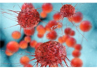Kök Hücreler İle Büyüme Faktörleri Arasındaki Farklar
