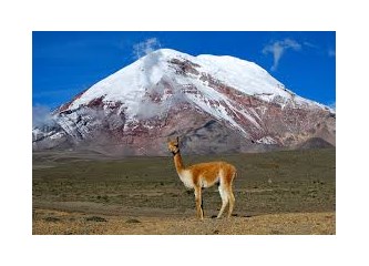 Dördüncü Ekvador Gününde “Abla” Grubu, Chimborazo Ulusal Parkı Üzerinden Riobamba’ya Giderler.