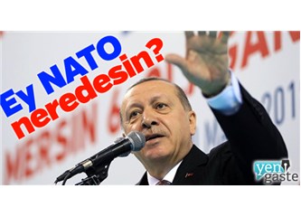 NATO’ya Gel Bizi Koru Diyoruz Ama PKK Terörü Biraz İç Mesele Gibi