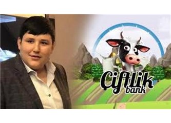Danabank, Tosunbank, Sütbank, Çiftlik Bank, Anadolu Farm