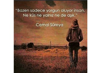 Belki de
