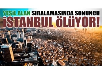 Betona Teslim Olan Doğamız