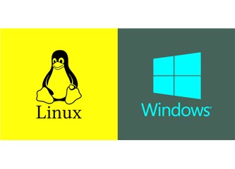 Linux Hosting ve Windows Hosting