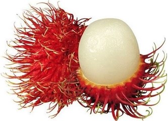 Haziran Ayında Sri Lanka