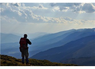 Bilim İnsanları / İş İnsanları / İş Hayvanları