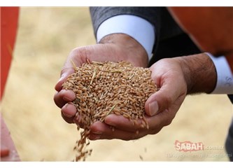 Buğday ve Merhamet Diyarı Anadolu ve Hızla Yaklaşan 3. Dünya Savaşı