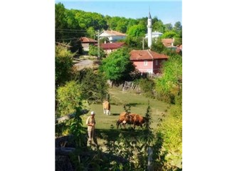 Bu Köy Tarımcılığı Bırakmış