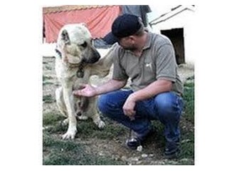 Kerim Korkut'la Yeni Ufuklara Doğru/ İnsanın Yaşamaktan Başka Davası Yoktur