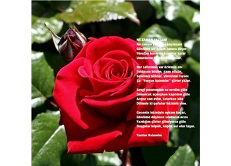 Ne Zaman Yazsam