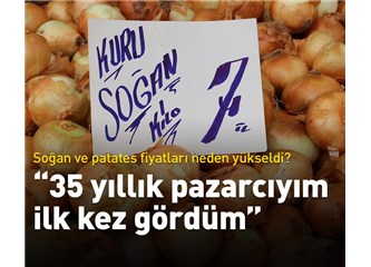 Tarlaya Ektim Soğan