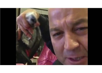 Papağana İşkence Yapan Murat Özdemir