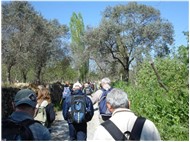 Magnesia- Antik Roma Yolu - Naipli Köyü