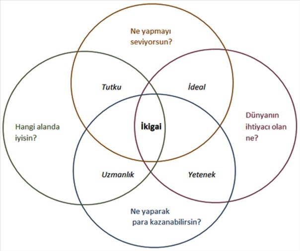 ikigai türkçe ile ilgili görsel sonucu