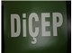 DİÇEP (Didim Çevre Platformu)