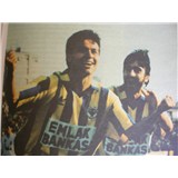 timur demir