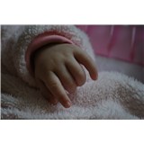 ayşegül ve amine