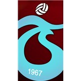 Baris Altinparmak